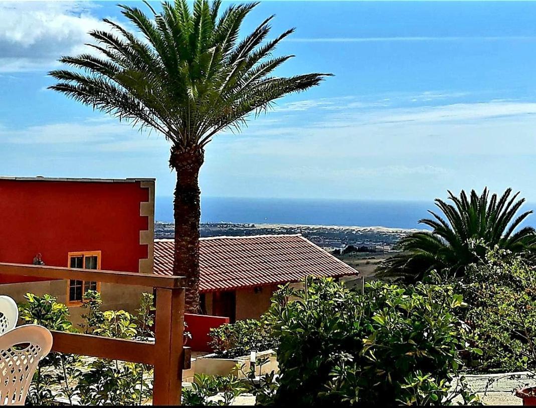 The Black Horse Canarias - Adults Only Maspalomas  Dış mekan fotoğraf
