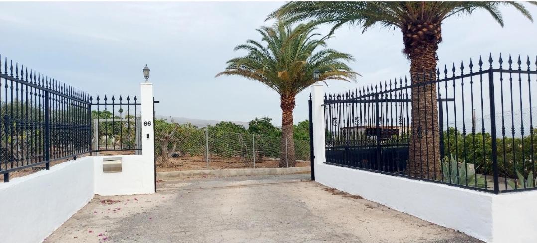 The Black Horse Canarias - Adults Only Maspalomas  Oda fotoğraf